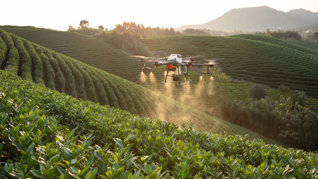 Drone de alta tecnologia realizando pulverização de precisão em lavoura da Agrovitória